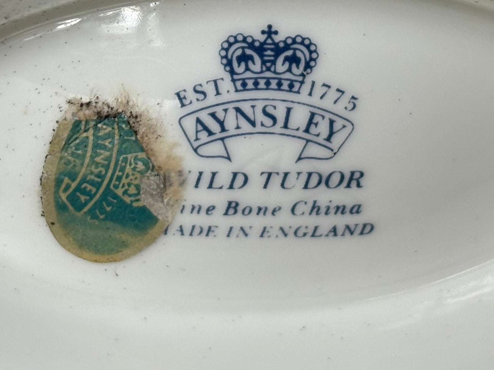 Aynsley “Wild Tudor” Gravy Jug