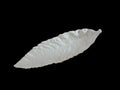 Carltonware. Large leaf dish.  image 0
