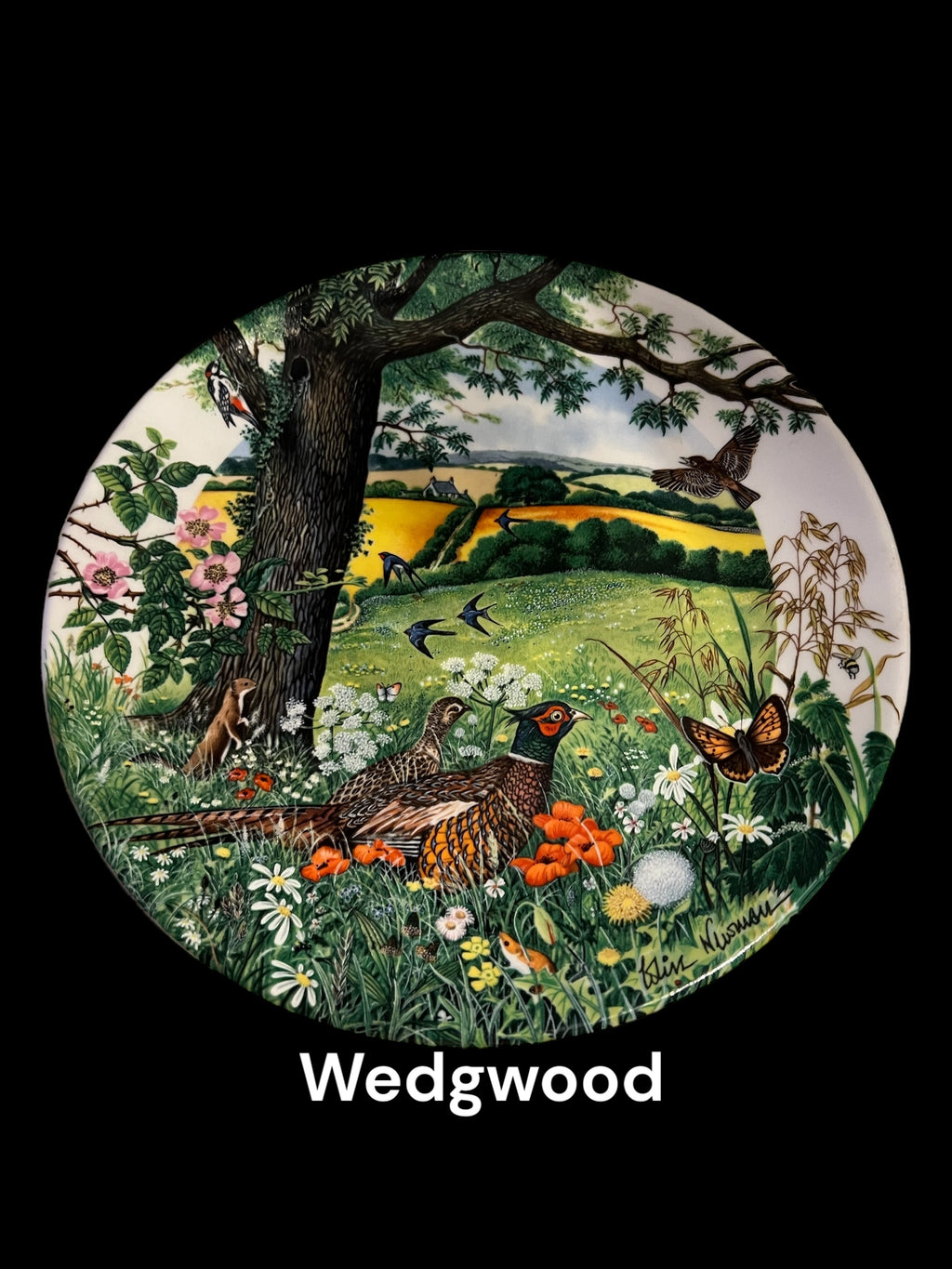 Wedgwood cabinet plate image 0
