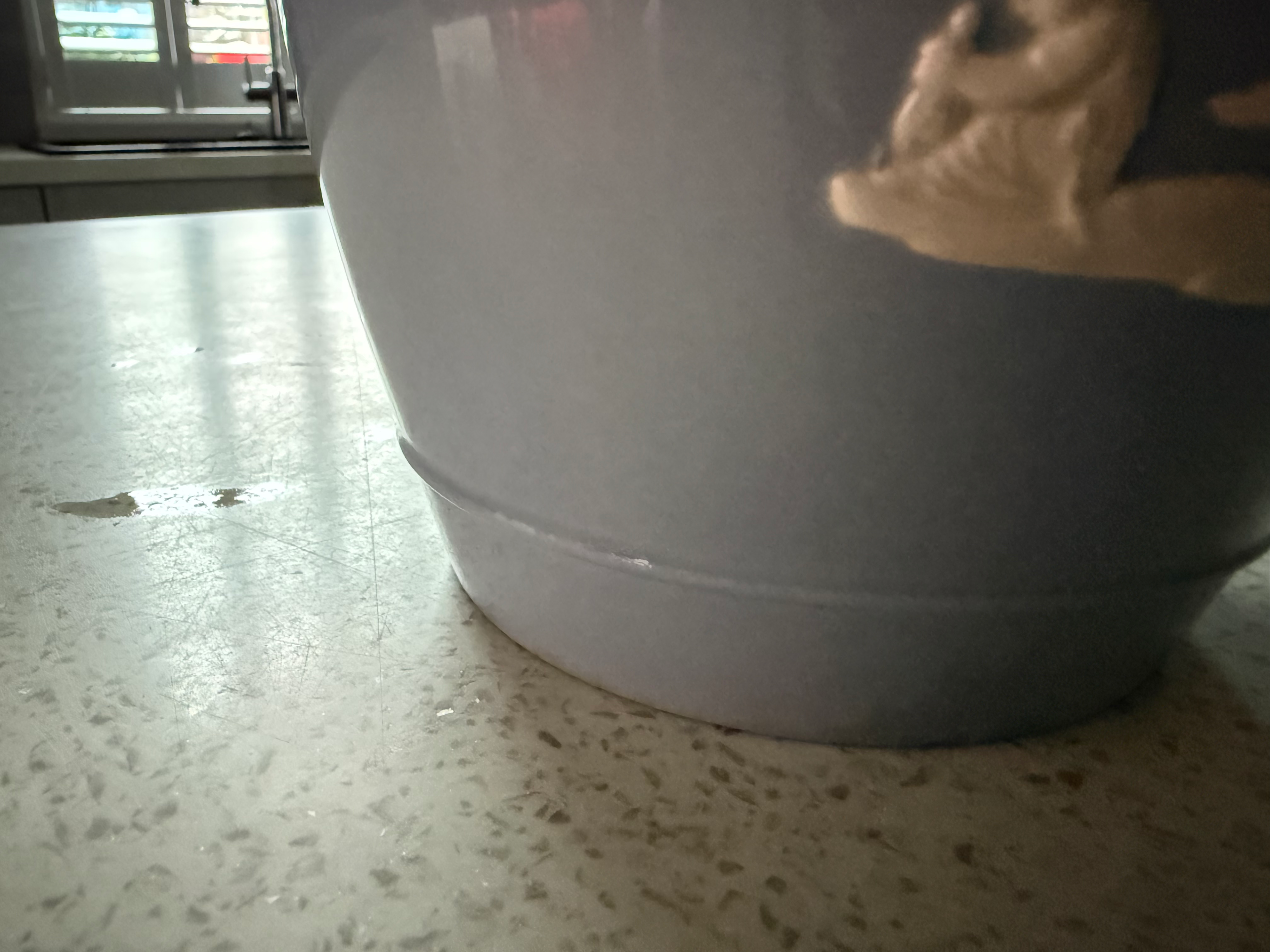 Wedgwood Large Jug image 7