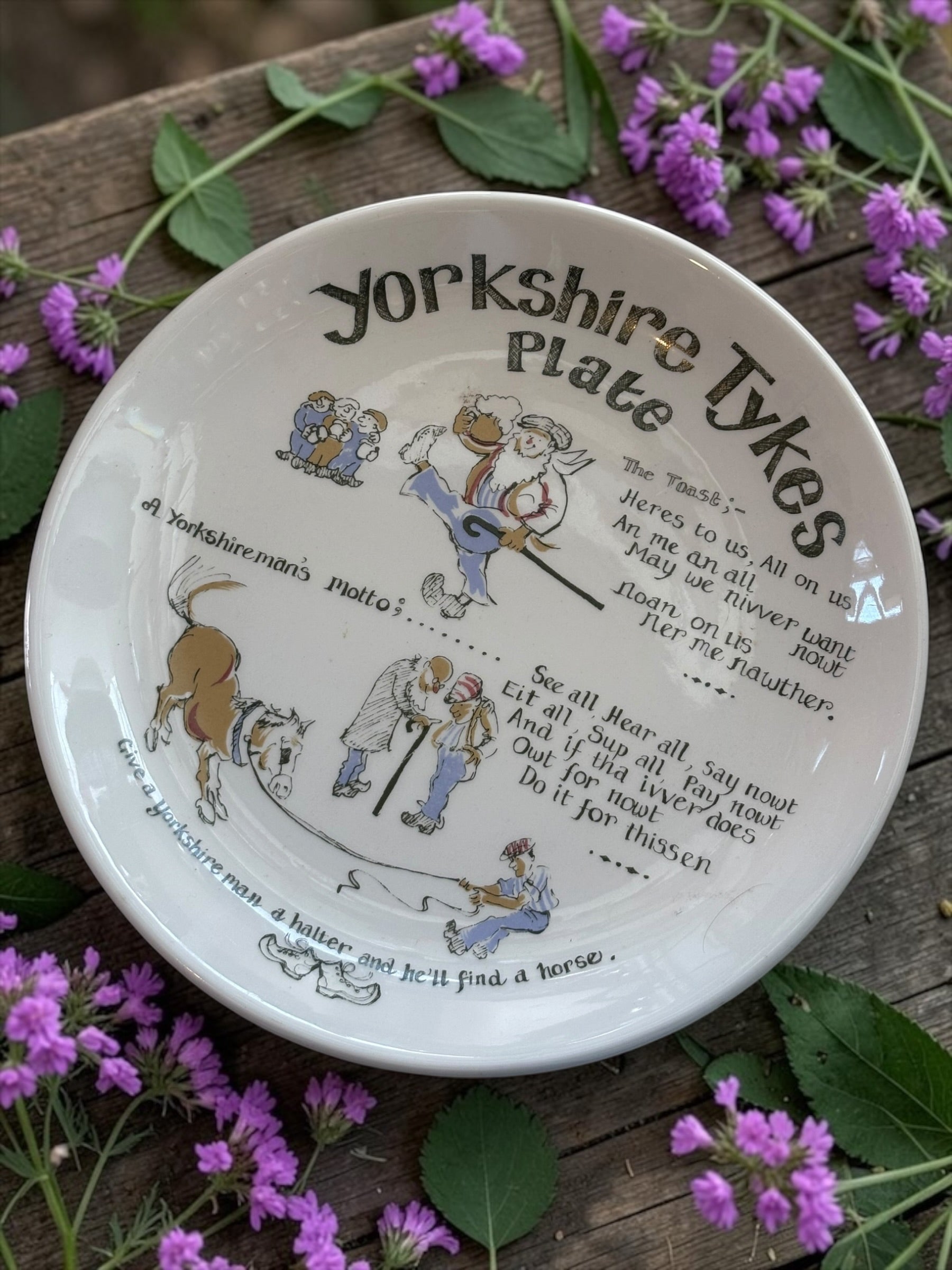 Yorkshire Tykes Cabinet Plate  image 0
