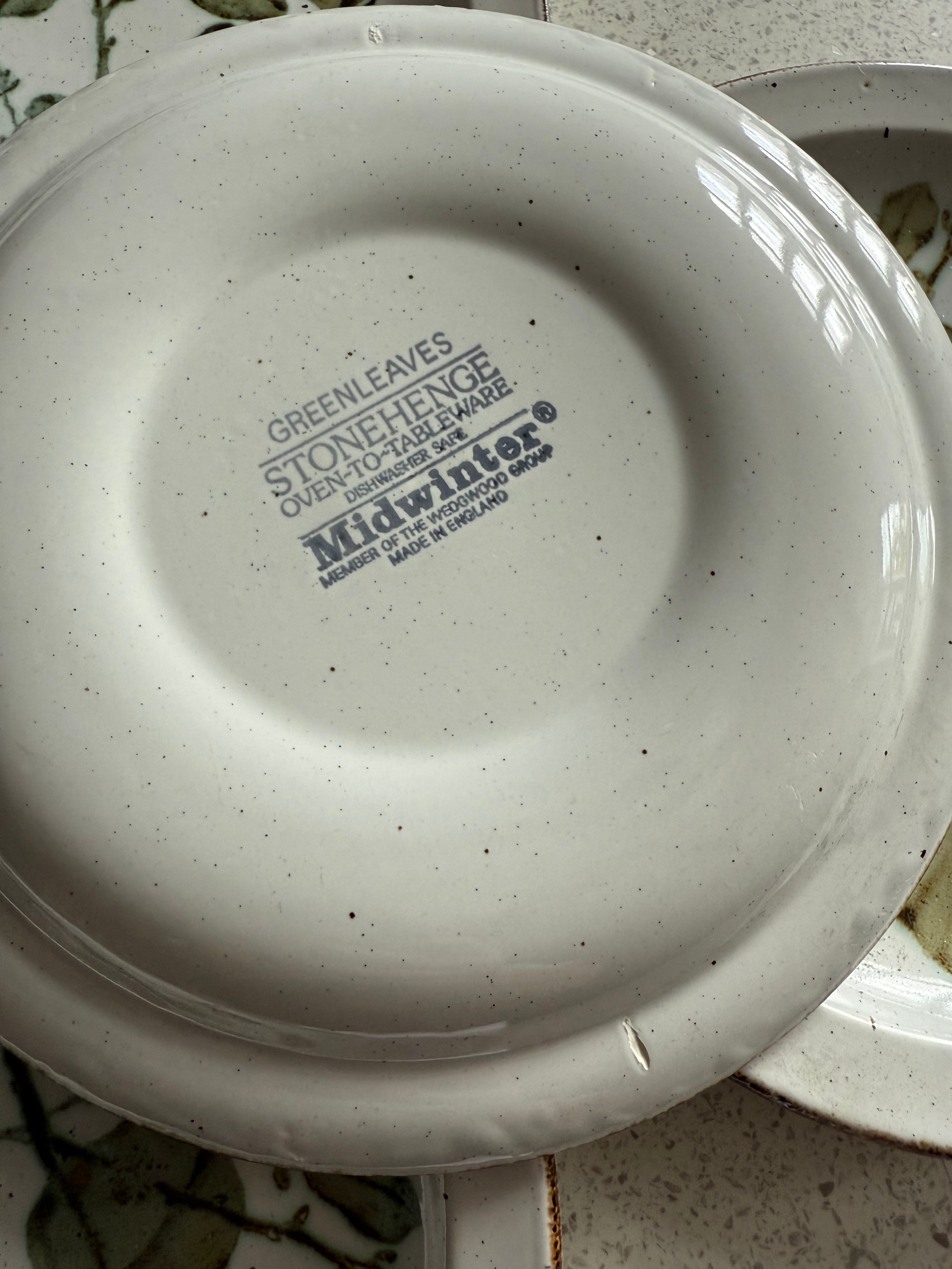 Midwinter. Stonehenge. Green Leaves. 4 Dinner Plates image 2