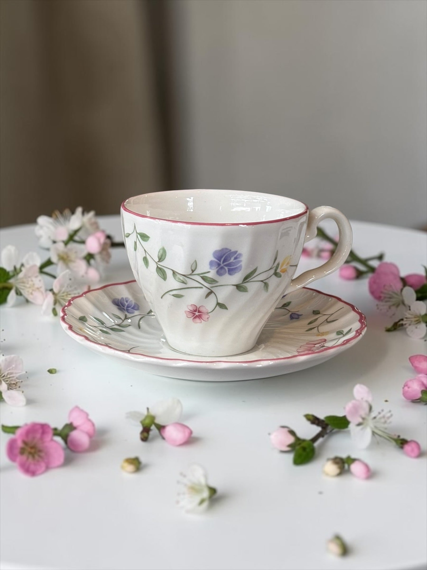 Summer Chintz Johnson Brothers Teacup & Saucer