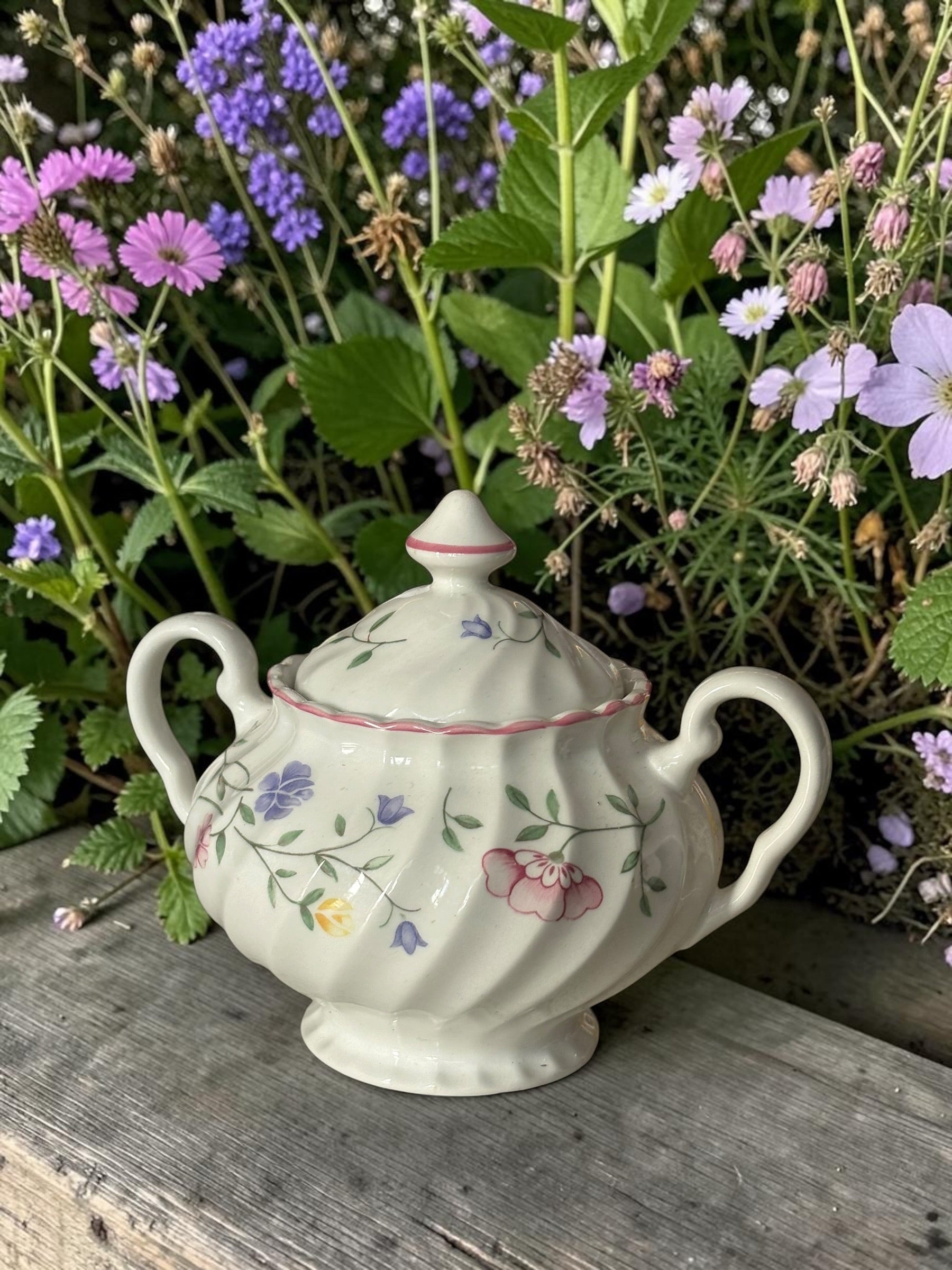 Summer Chintz Johnson Brothers Sucrière