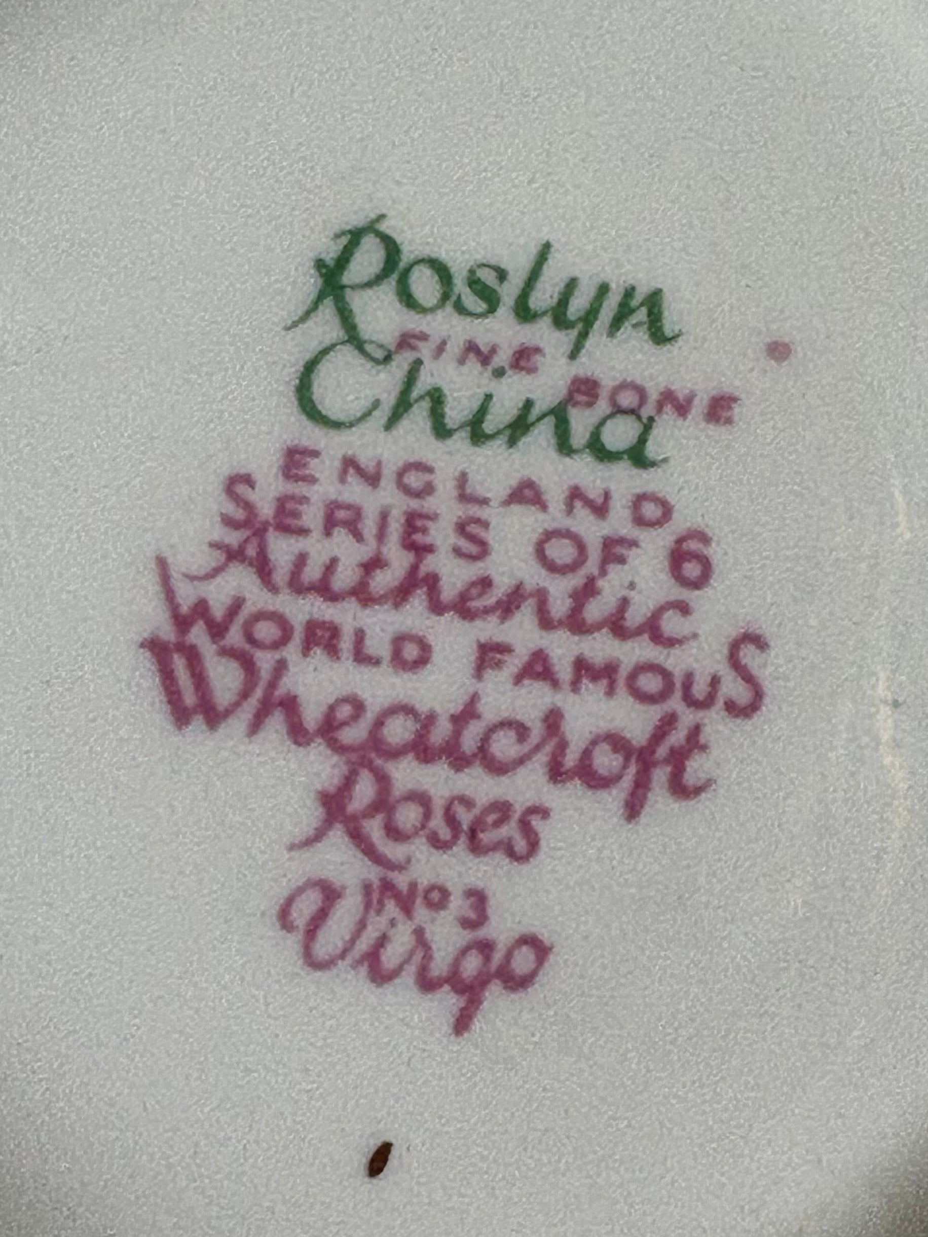 Roslyn Fine Bone China Tennis Set