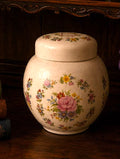 Vintage Sadler Hand-Painted Ginger Jar