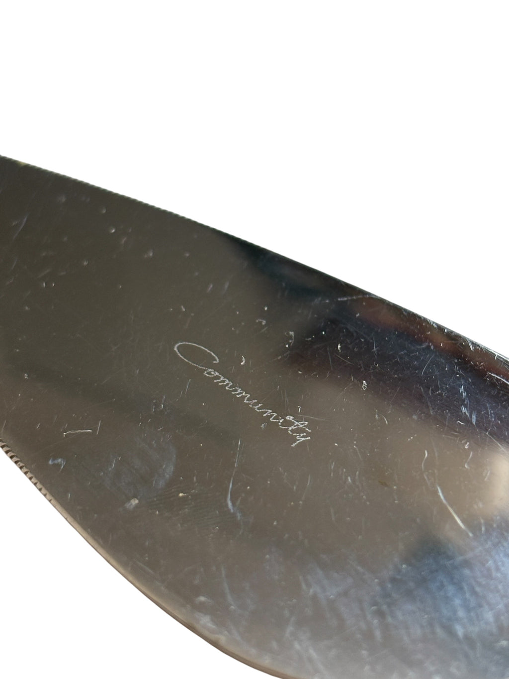 Oneida Community Engraved Cake Slice