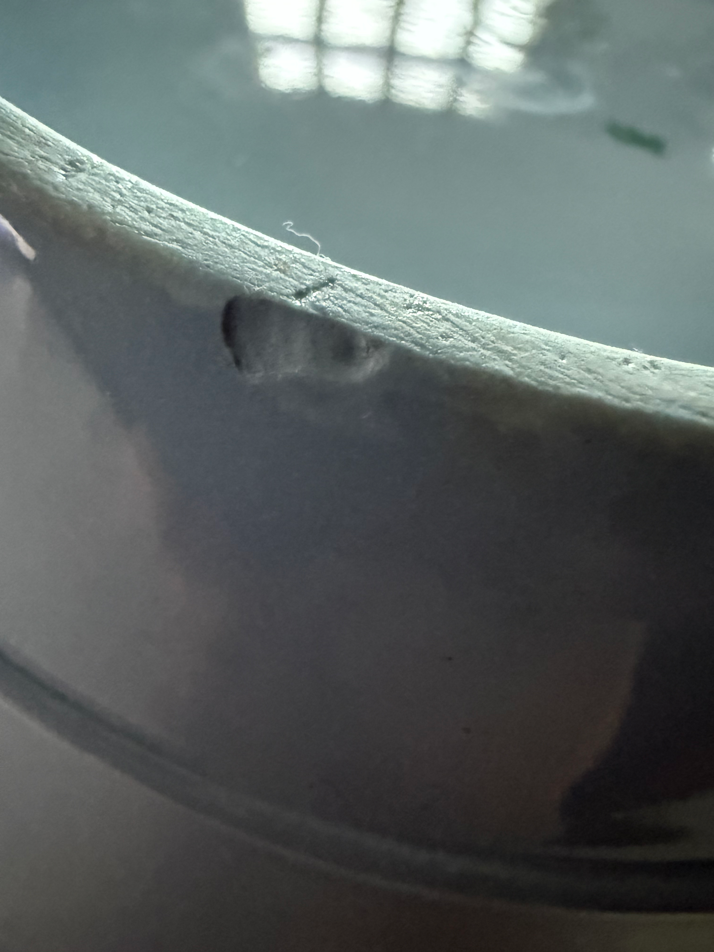 Wedgwood Large Jug image 6