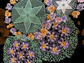 Vintage Doilies. Set 4 image 0
