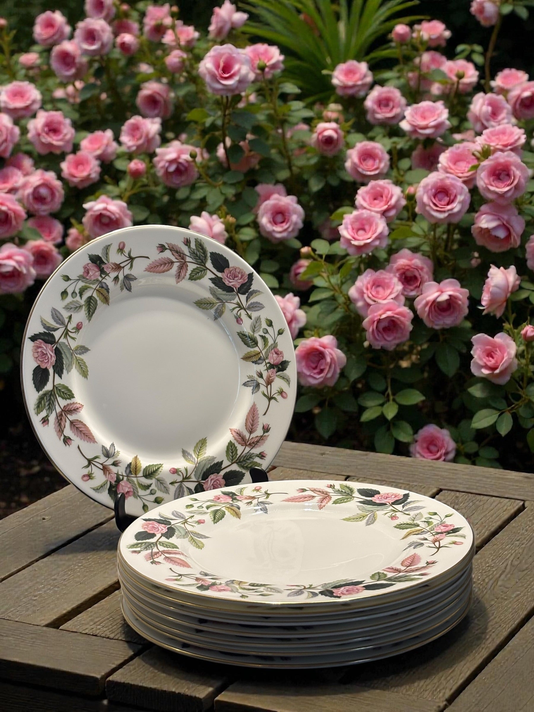 Wedgwood Bone China Hathaway Rose Set Of 8 Dinner Plates image 1