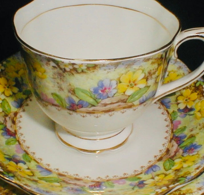 Royal Albert. ‘Mary’s Garden’. Antique China Trio Fruits