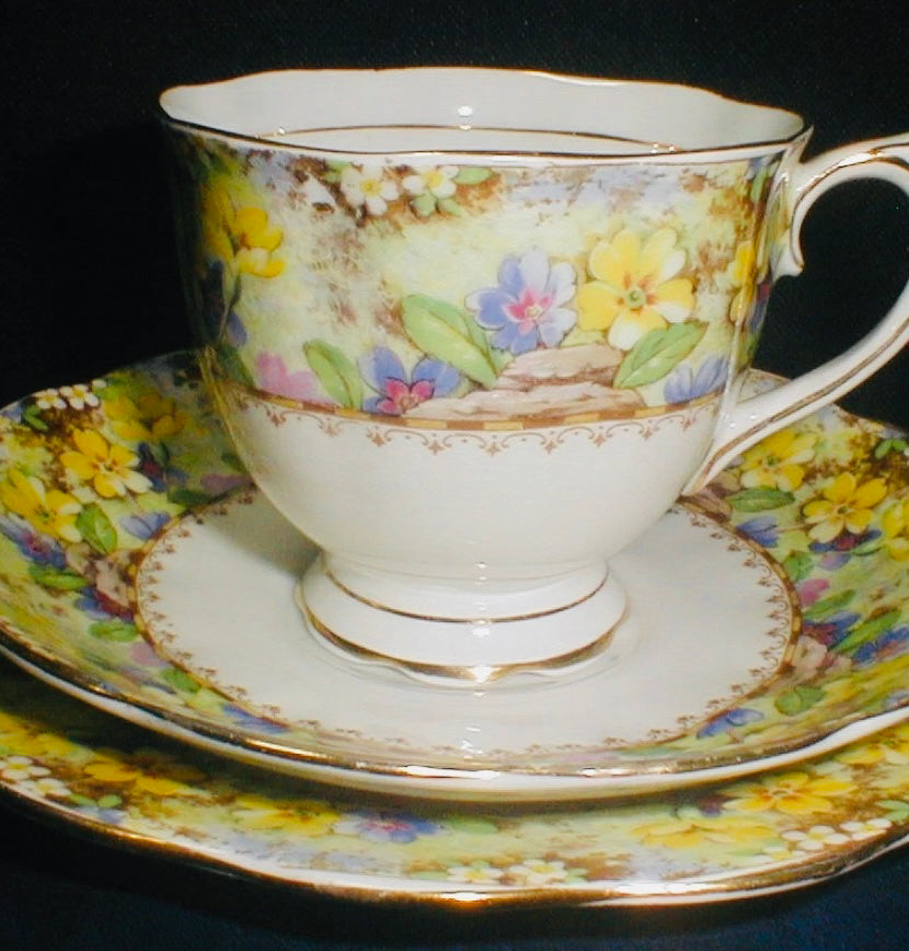 Royal Albert. ‘Mary’s Garden’. Antique China Trio Fruits