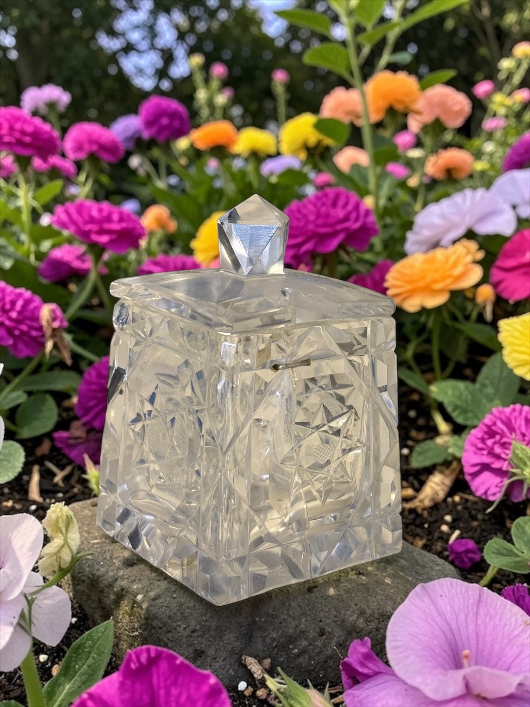 Crystal Condiment Pot    image 0